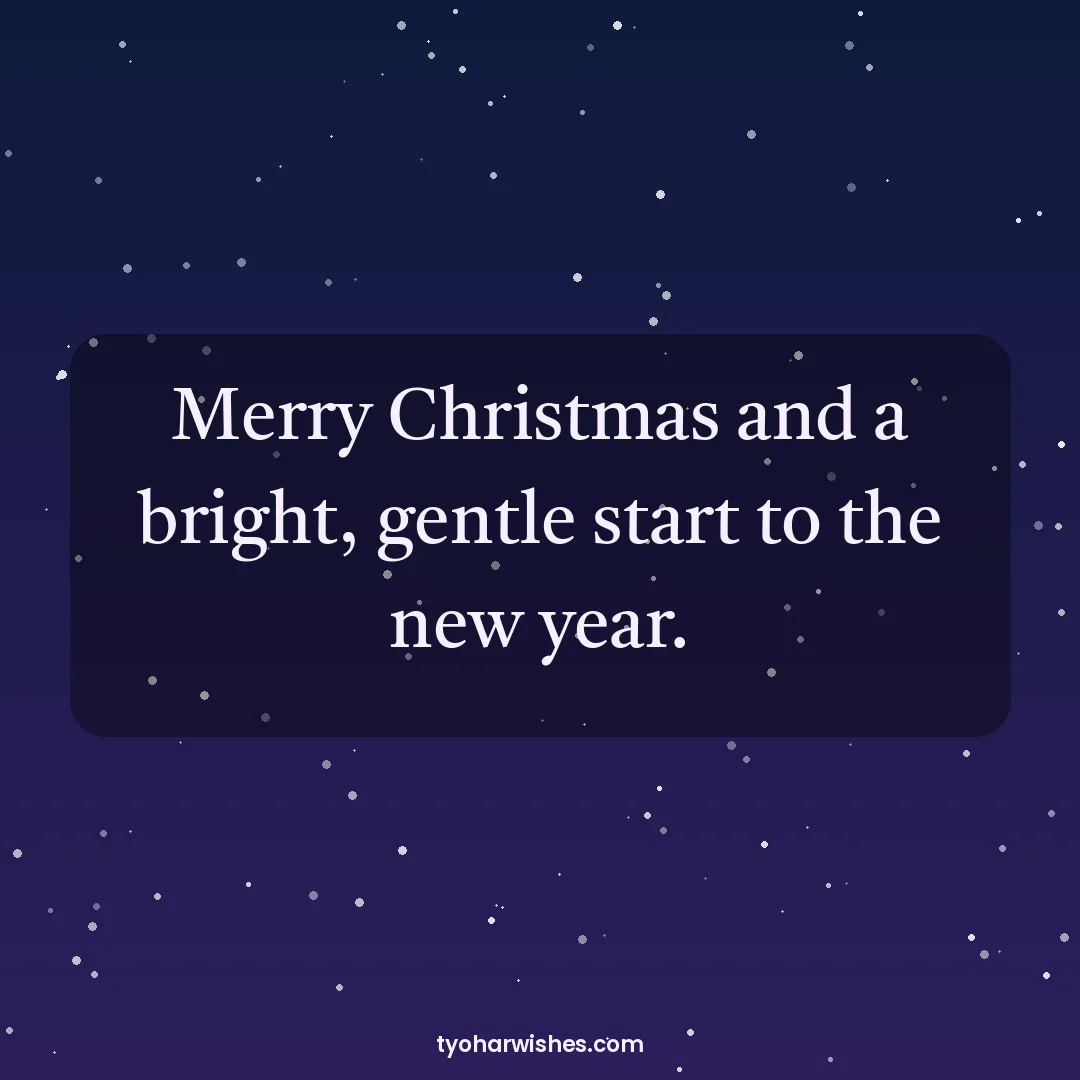 Christmas wish image: Merry Christmas and a bright, gentle start to the new year.