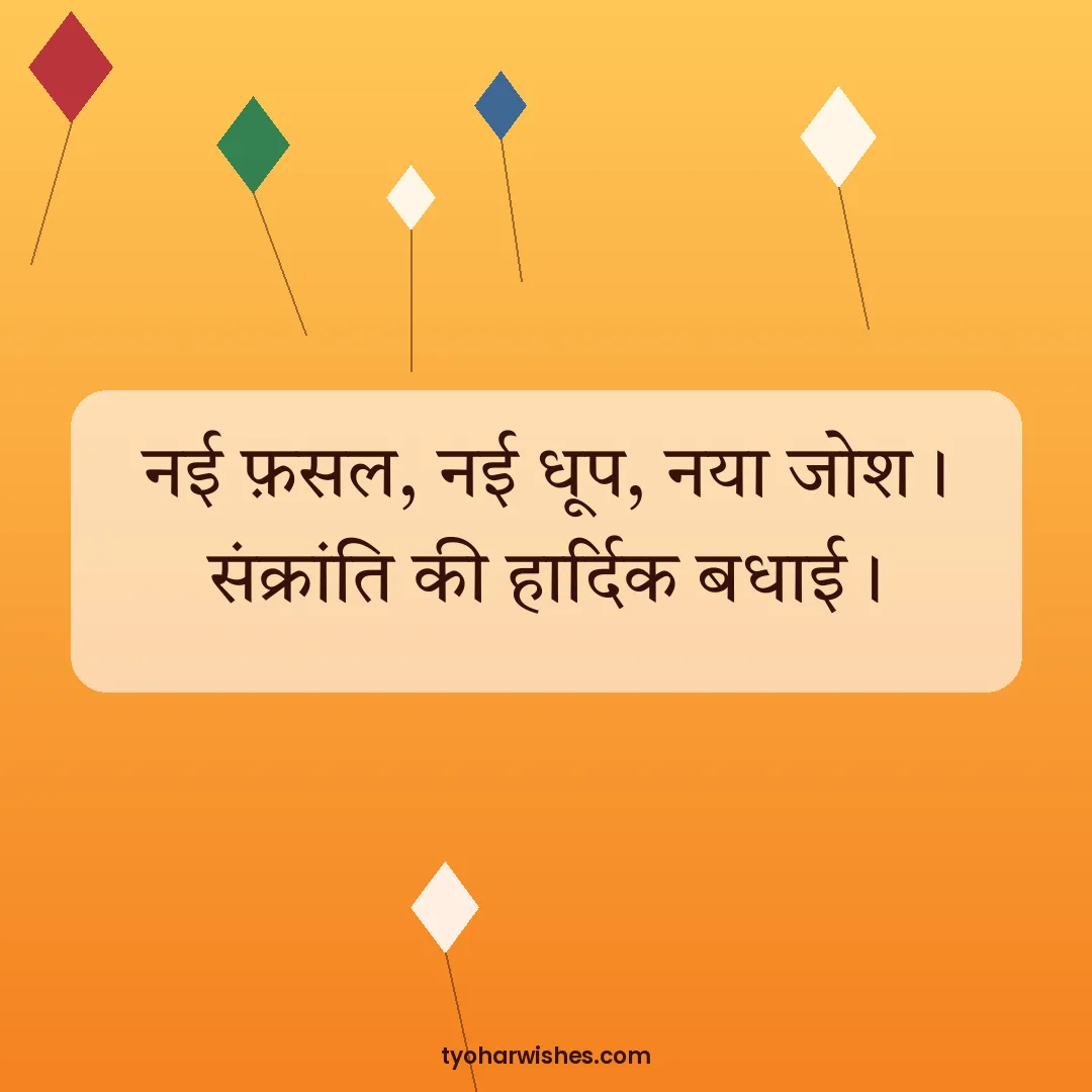 Makar Sankranti wish image: नई फ़सल, नई धूप, नया जोश। संक्रांति की हार्दिक बधाई।