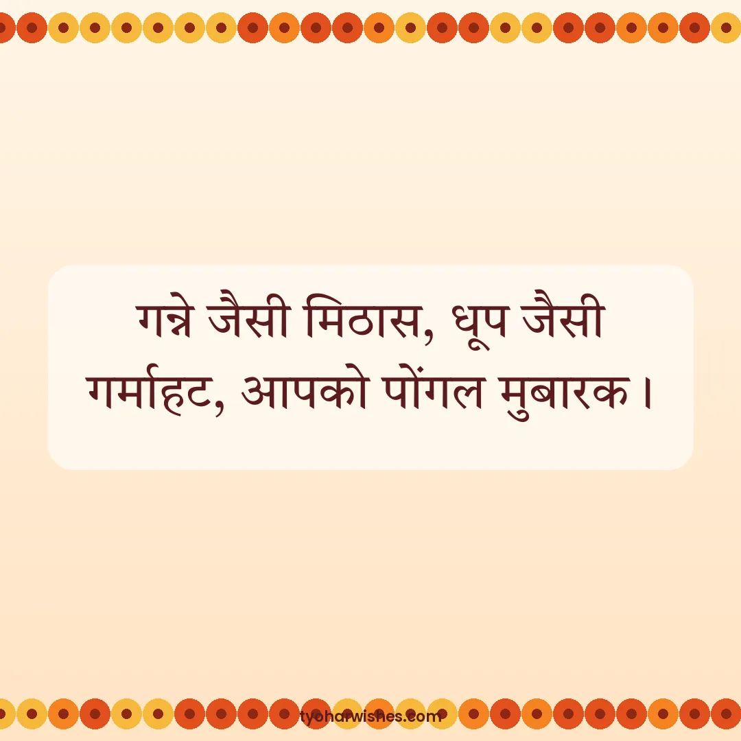 Pongal wish image: गन्ने जैसी मिठास, धूप जैसी गर्माहट, आपको पोंगल मुबारक।
