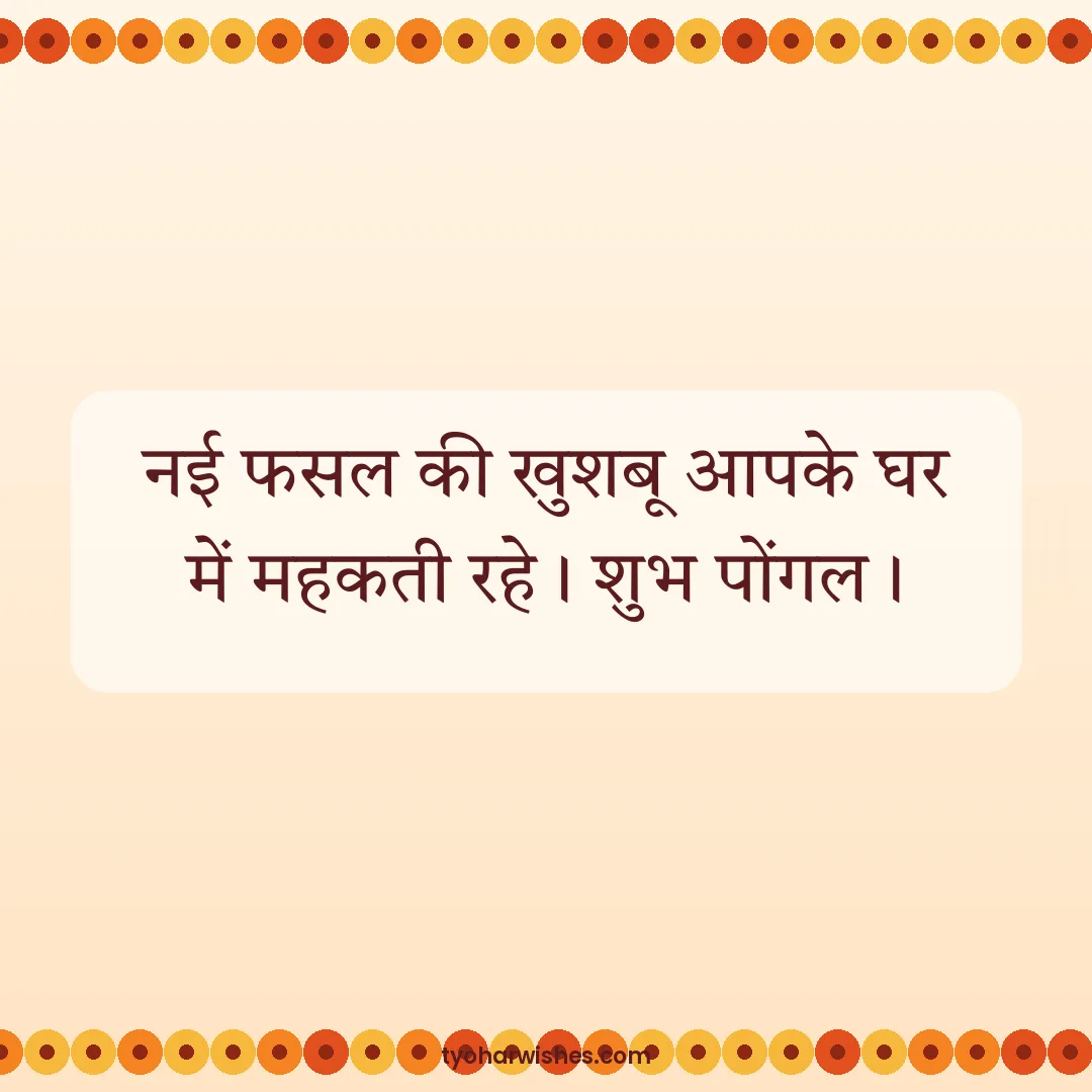 Pongal wish image: नई फसल की खुशबू आपके घर में महकती रहे। शुभ पोंगल।